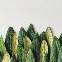 Эндже Замалдинова, Казань