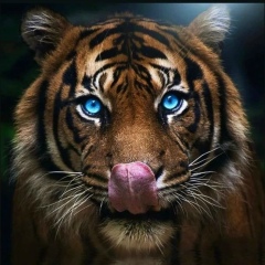 Ольга Волкова, 23.01, Санкт-Петербург