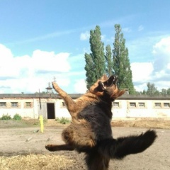 Данна Исаева, 03.08