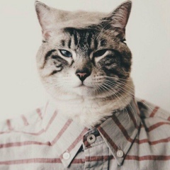 Nartay Kapanov, 08.01