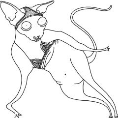 Mi Mi