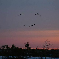 Sultan Imankulov, 13.08.1994, Актау