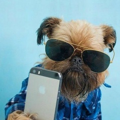 Виталий Загуляев, 23.10.1966, Сыктывкар