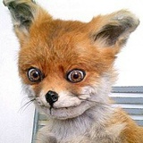 Семен Кузьменко, 12.07.1987, Харьков