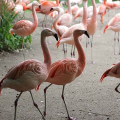 Светлана , 01.04.1968, Пенза