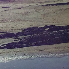 Хаял Ибадуллаев, 09.12.1986, Мытищи