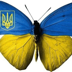 Вікторія Бовгиря, 23.12.1999, McLean