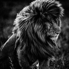 Магомед Байдуев, 10.07, Грозный