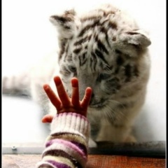 Анастасия Кей, 02.02, Москва