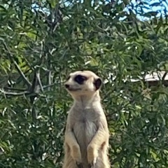 Ербол Жалгабаев, 02.12.1987, Семей