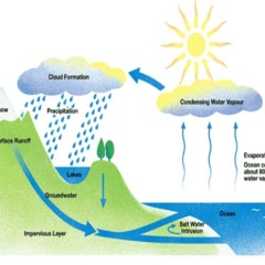 Aung Htet, 10.10.1982