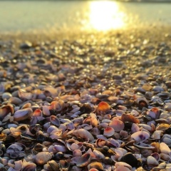 Татьяна Кириченко, 06.11, Краснодар