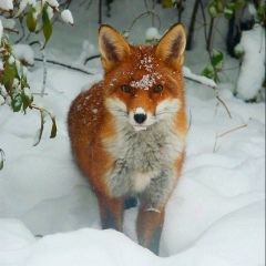 Наталья Павлова, 18.04.1987, Москва
