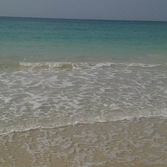 Татьяна Овсянникова, 12.05, Санкт-Петербург