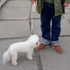 Ливси Ливсяевич, 09.09, Киев