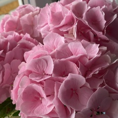 Мария Прокофьева, 08.08, Санкт-Петербург