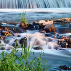 Дима Ковшик, 06.03