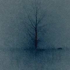 Nijolė Makutėnaitė, 19.12, Санкт-Петербург