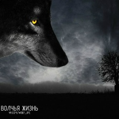 Баламерген Толенов, 12.09.1992, Актау