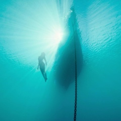 Александр Мельник, 04.02, Миргород