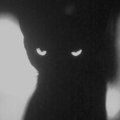 Игорь Зеленин, 13.04, Санкт-Петербург