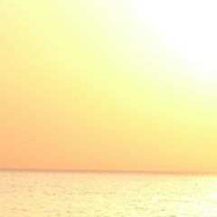 Ольга , 23.11, Москва