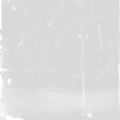 Заур Бижоев, 25.07