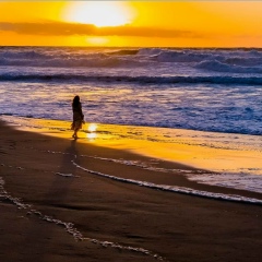 Анна Давыдова, 15.12