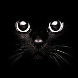 Александр В, Мурманск