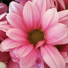 Асем Кулимова, 19.01, Алматы