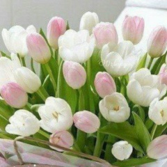 Рано Юлдашева