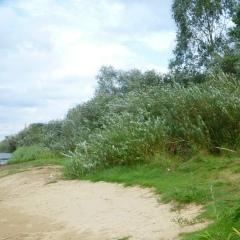 Александр Ивко, 21.10, Минск