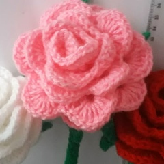 Татьяна Жегалова, 15.01, Калуга