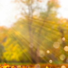 Ainura Khamzina, 05.10.1986, Атырау