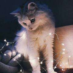 Евгений Погребной, 05.01, Полтава