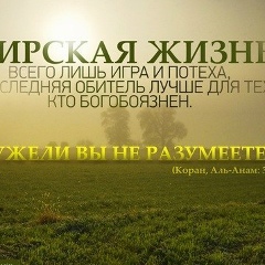 Тамерлан Добриев, Назрань