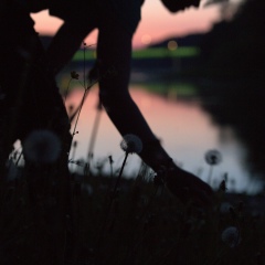 Алина Янукявичуте, Вильнюс