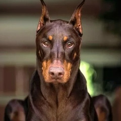 Евгений Байков, 22.09.1989, Минск