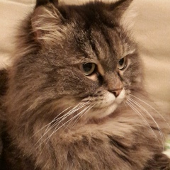 Мария Олесова, 26.09