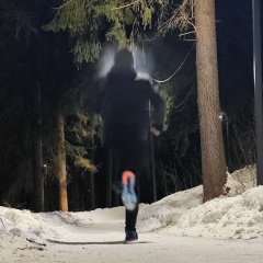 Григорий Ботунов, Химки