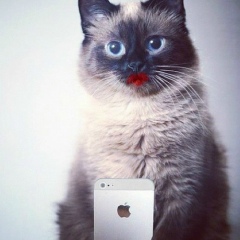 Марина Орлова, 03.02, Москва