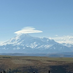 Асель Зенина, 21.04.1984, Алматы