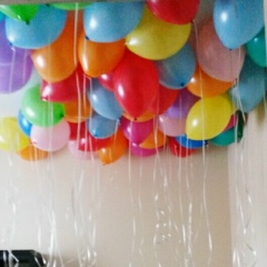 Полина Павлова, 01.01.1985, Санкт-Петербург