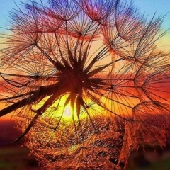 Екатерина Снежнова, 31.07