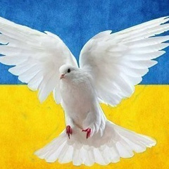 Юлія Павлова, 24.05, Киев