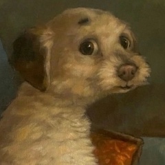 Светлана Поддубная, 20.12