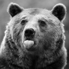 Андрей Овчинников, 05.08, Москва