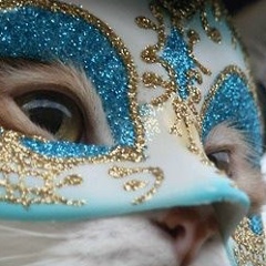 Анастасия Ш, Пермь