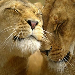 Евгения Хачатурянц, 13.08