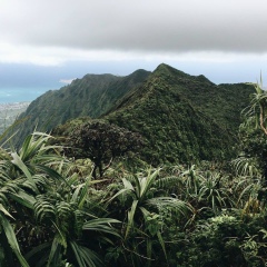 Сергей Пушкин, 07.05, Москва